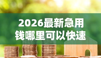 2026最新急用钱哪里可以快速借到，总结十个最容易下款的贷款平台！
