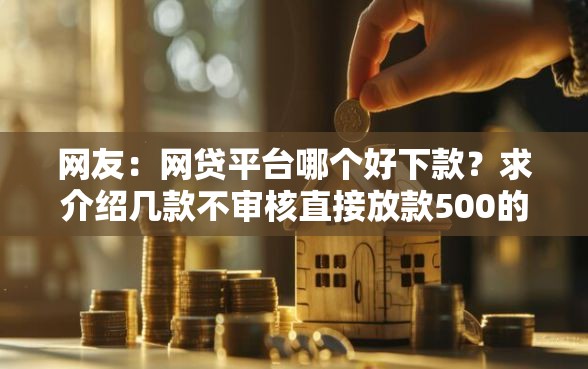 网友：网贷平台哪个好下款？求介绍几款不审核直接放款500的平台