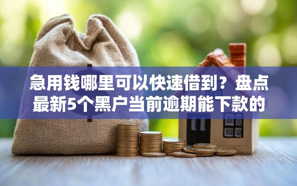 急用钱哪里可以快速借到？盘点最新5个黑户当前逾期能下款的口子