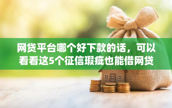 网贷平台哪个好下款的话，可以看看这5个征信瑕疵也能借网贷轻松下款的app