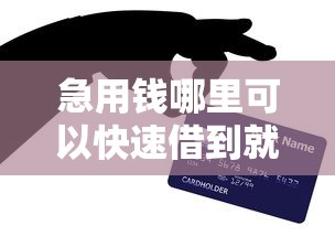 急用钱哪里可以快速借到就选这6个5000元最可靠的贷款平台