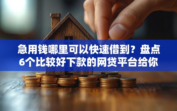 急用钱哪里可以快速借到？盘点6个比较好下款的网贷平台给你参考