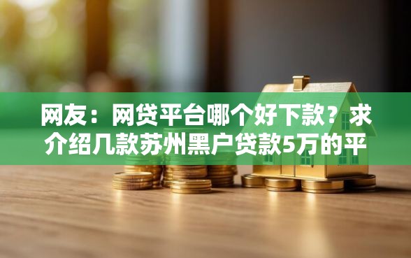 网友：网贷平台哪个好下款？求介绍几款苏州黑户贷款5万的平台