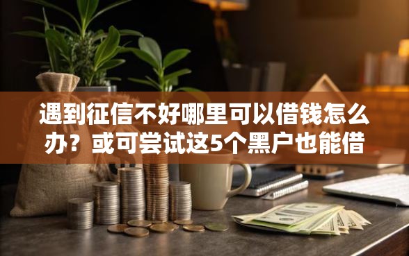 遇到征信不好哪里可以借钱怎么办？或可尝试这5个黑户也能借款的网贷平台