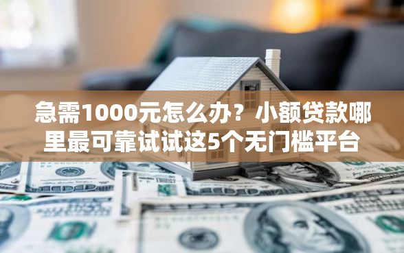 急需1000元怎么办？小额贷款哪里最可靠试试这5个无门槛平台
