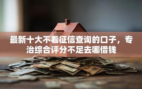 最新十大不看征信查询的口子，专治综合评分不足去哪借钱