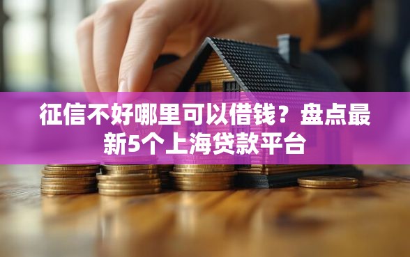 征信不好哪里可以借钱？盘点最新5个上海贷款平台