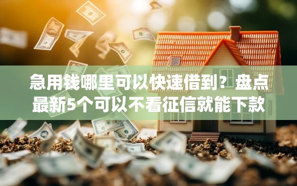 急用钱哪里可以快速借到？盘点最新5个可以不看征信就能下款的app