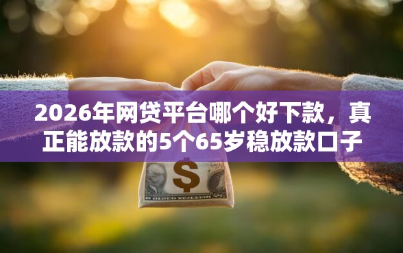 2026年网贷平台哪个好下款，真正能放款的5个65岁稳放款口子推荐