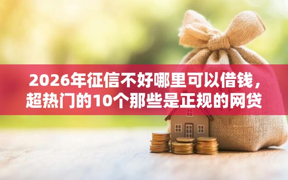 2026年征信不好哪里可以借钱，超热门的10个那些是正规的网贷平台推荐