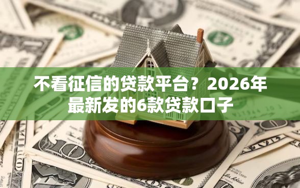 不看征信的贷款平台？2026年最新发的6款贷款口子