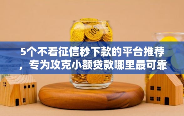 5个不看征信秒下款的平台推荐，专为攻克小额贷款哪里最可靠难题