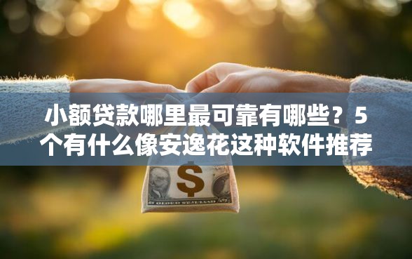 小额贷款哪里最可靠有哪些？5个有什么像安逸花这种软件推荐给你