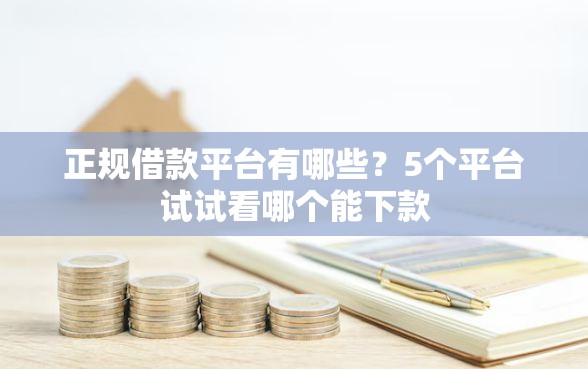 正规借款平台有哪些？5个平台试试看哪个能下款