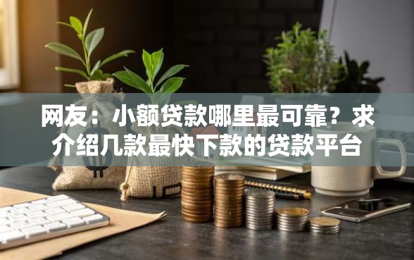 网友：小额贷款哪里最可靠？求介绍几款最快下款的贷款平台