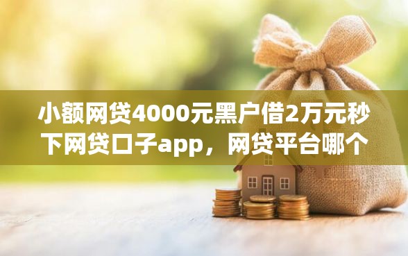 小额网贷4000元黑户借2万元秒下网贷口子app，网贷平台哪个好下款的8个平台介绍