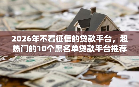 2026年不看征信的贷款平台，超热门的10个黑名单贷款平台推荐
