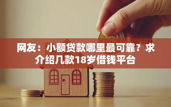 网友：小额贷款哪里最可靠？求介绍几款18岁借钱平台