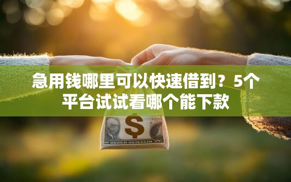 急用钱哪里可以快速借到？5个平台试试看哪个能下款