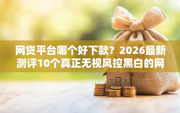 网贷平台哪个好下款？2026最新测评10个真正无视风控黑白的网贷