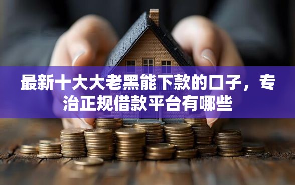 最新十大大老黑能下款的口子，专治正规借款平台有哪些
