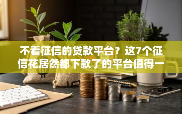 不看征信的贷款平台？这7个征信花居然都下款了的平台值得一试