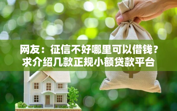 网友：征信不好哪里可以借钱？求介绍几款正规小额贷款平台