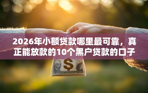 2026年小额贷款哪里最可靠，真正能放款的10个黑户贷款的口子必下推荐