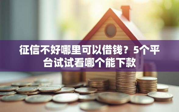 征信不好哪里可以借钱？5个平台试试看哪个能下款