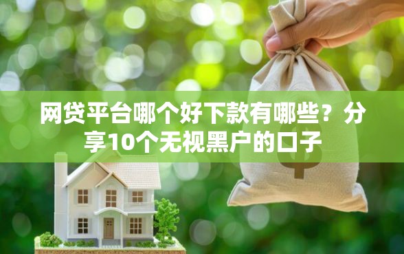 网贷平台哪个好下款有哪些？分享10个无视黑户的口子