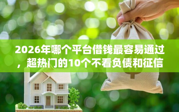 2026年哪个平台借钱最容易通过，超热门的10个不看负债和征信的app推荐