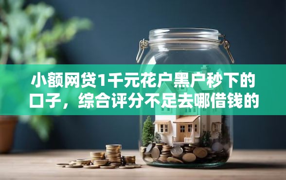 小额网贷1千元花户黑户秒下的口子，综合评分不足去哪借钱的6个平台介绍
