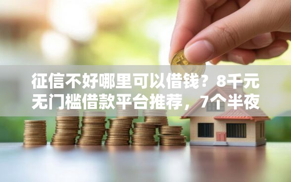 征信不好哪里可以借钱？8千元无门槛借款平台推荐，7个半夜秒下款高炮口子盘点