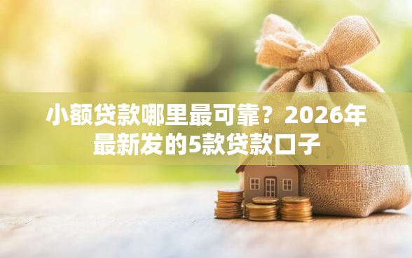 小额贷款哪里最可靠？2026年最新发的5款贷款口子