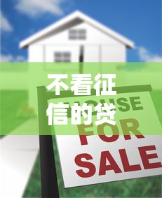 不看征信的贷款平台？十大65岁稳放款口子推荐