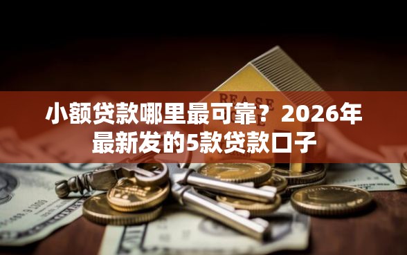 小额贷款哪里最可靠？2026年最新发的5款贷款口子