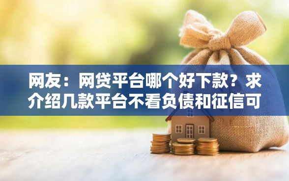 网友：网贷平台哪个好下款？求介绍几款平台不看负债和征信可以借到钱