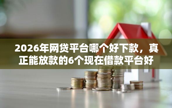 2026年网贷平台哪个好下款，真正能放款的6个现在借款平台好贷款推荐