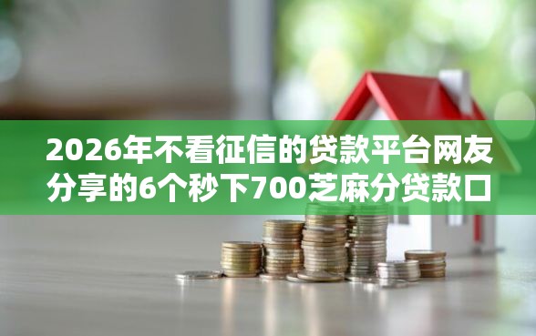 2026年不看征信的贷款平台网友分享的6个秒下700芝麻分贷款口子我觉得不错！