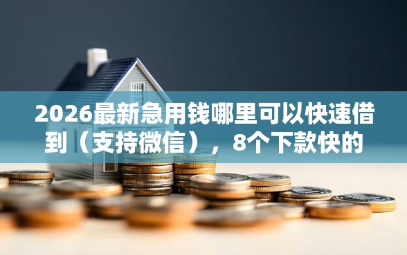 2026最新急用钱哪里可以快速借到（支持微信），8个下款快的贷款平台无私分享