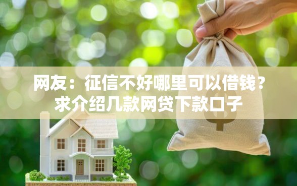 网友：征信不好哪里可以借钱？求介绍几款网贷下款口子