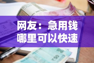 网友：急用钱哪里可以快速借到？求介绍几款小额借款不看征信的平台