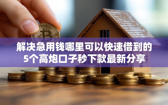 解决急用钱哪里可以快速借到的5个高炮口子秒下款最新分享