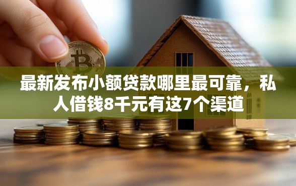 最新发布小额贷款哪里最可靠，私人借钱8千元有这7个渠道