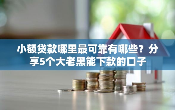 小额贷款哪里最可靠有哪些？分享5个大老黑能下款的口子