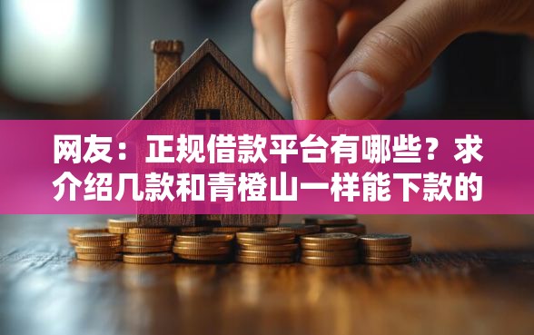 网友：正规借款平台有哪些？求介绍几款和青橙山一样能下款的口子