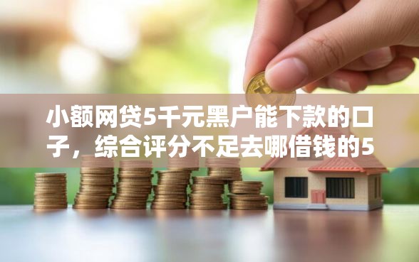小额网贷5千元黑户能下款的口子，综合评分不足去哪借钱的5个平台介绍