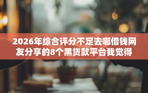 2026年综合评分不足去哪借钱网友分享的8个黑贷款平台我觉得不错！