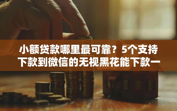 小额贷款哪里最可靠？5个支持下款到微信的无视黑花能下款一万元口子