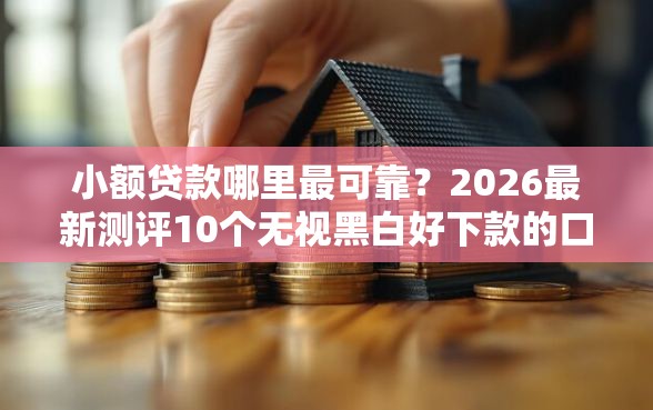小额贷款哪里最可靠？2026最新测评10个无视黑白好下款的口子